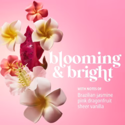 Sol de Janeiro Beija Flor™ Body Collagen-Boosting Elasti-Cream with Polypeptides and Bio-Retinol 240ml pink