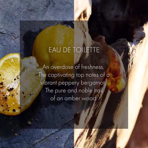 Christian Dior Sauvage Eau De Toilette Men