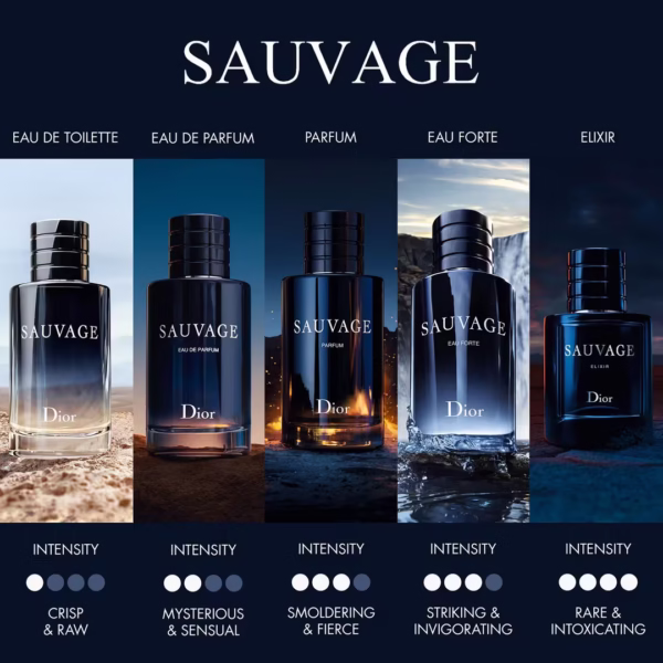 Christian Dior Sauvage Eau De Toilette Men